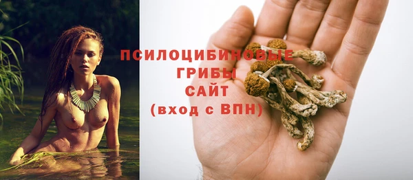 МДМА Козельск