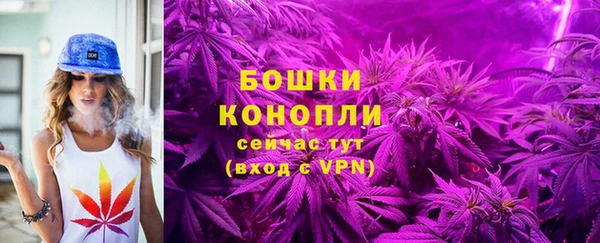дживик Кинешма