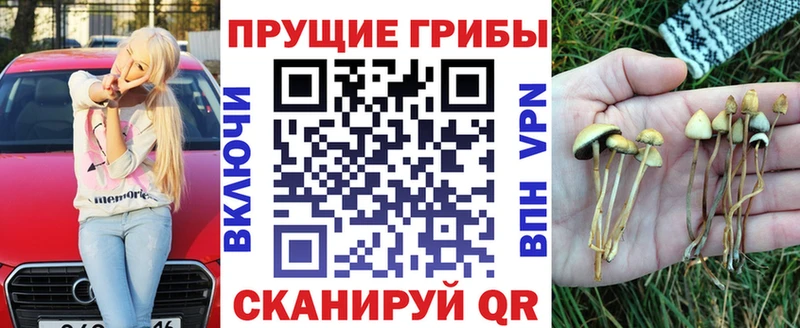 Купить  Омутнинск  Галлюциногенные грибы Psilocybe 