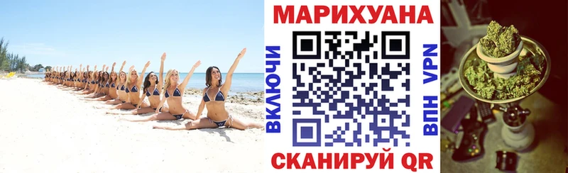 Канабис план  Купить  Омутнинск 
